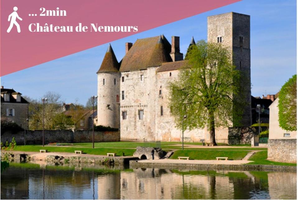 Appart Cosy Renove Avec Ac Hypercentre Nemours Extérieur photo